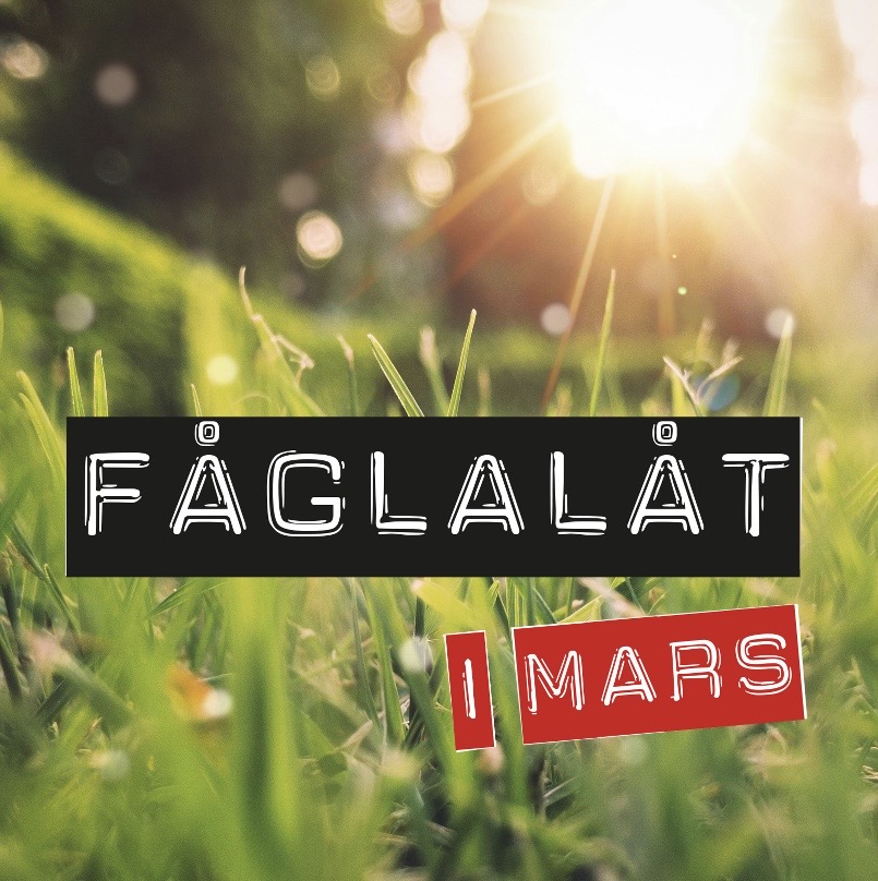 Sample image for first version of blog listing