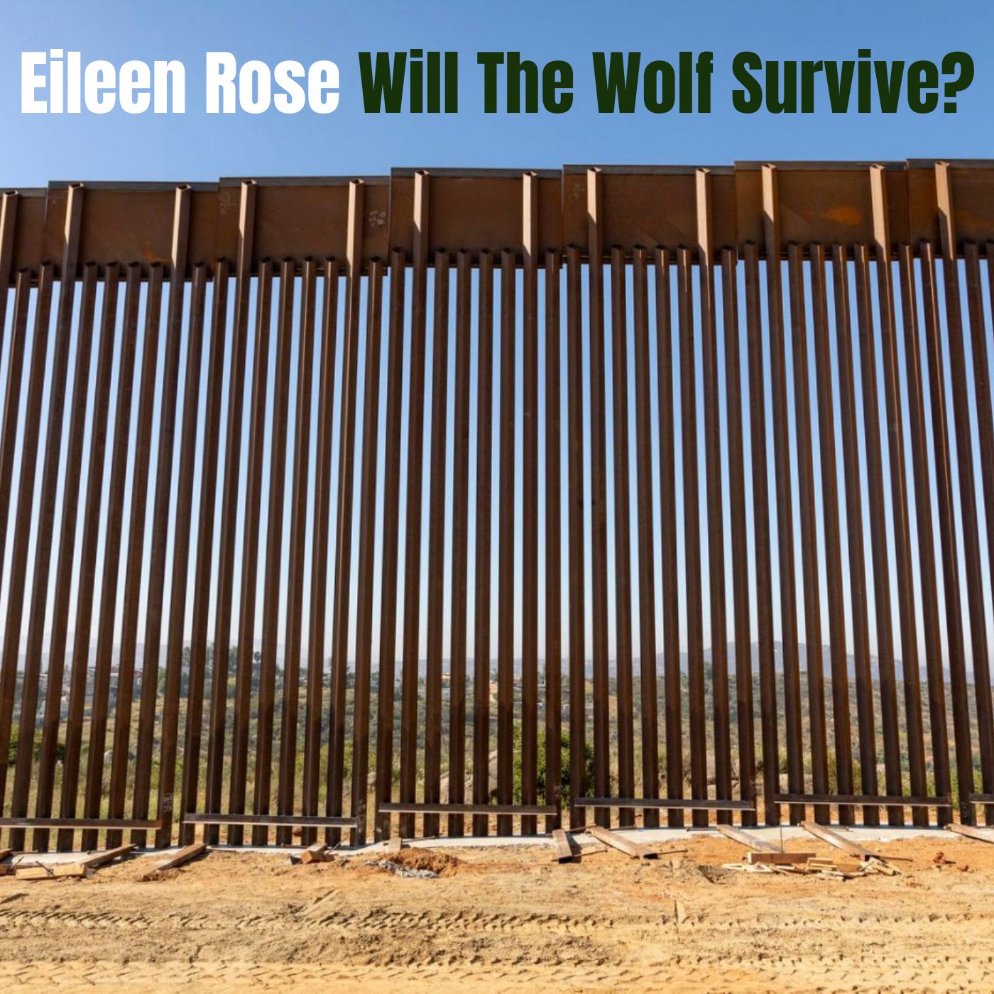 Sample image for first version of blog listing